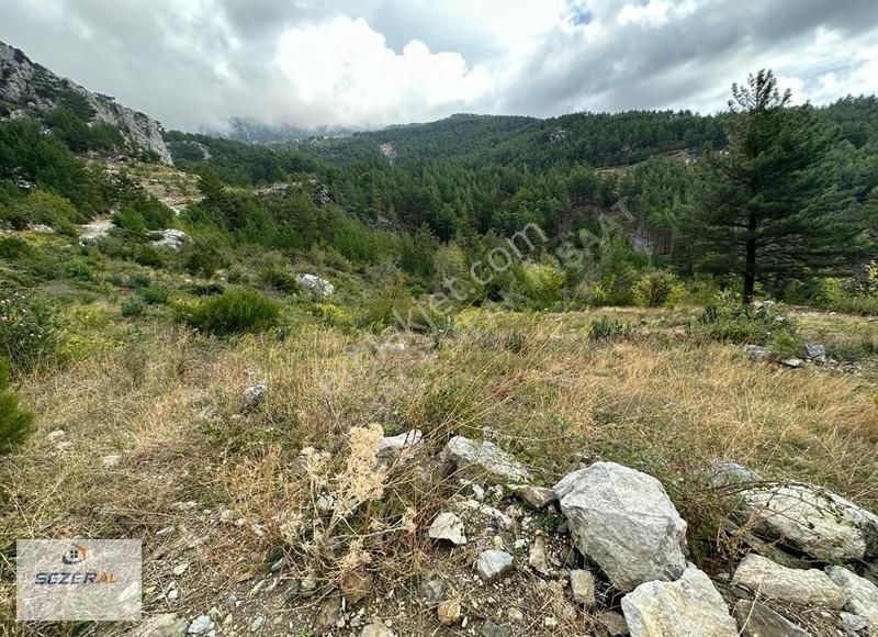Alanya Başköy Köyünde 27 Tek Tapu Tarla - Görsel 6