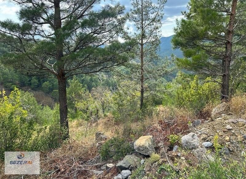 Alanya Başköy Köyünde 27 Tek Tapu Tarla - Görsel 4