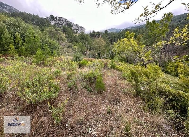 Alanya Başköy Köyünde 27 Tek Tapu Tarla - Görsel 5