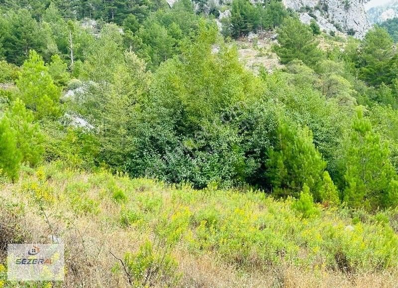Alanya Başköy Köyünde 27 Tek Tapu Tarla - Görsel 2