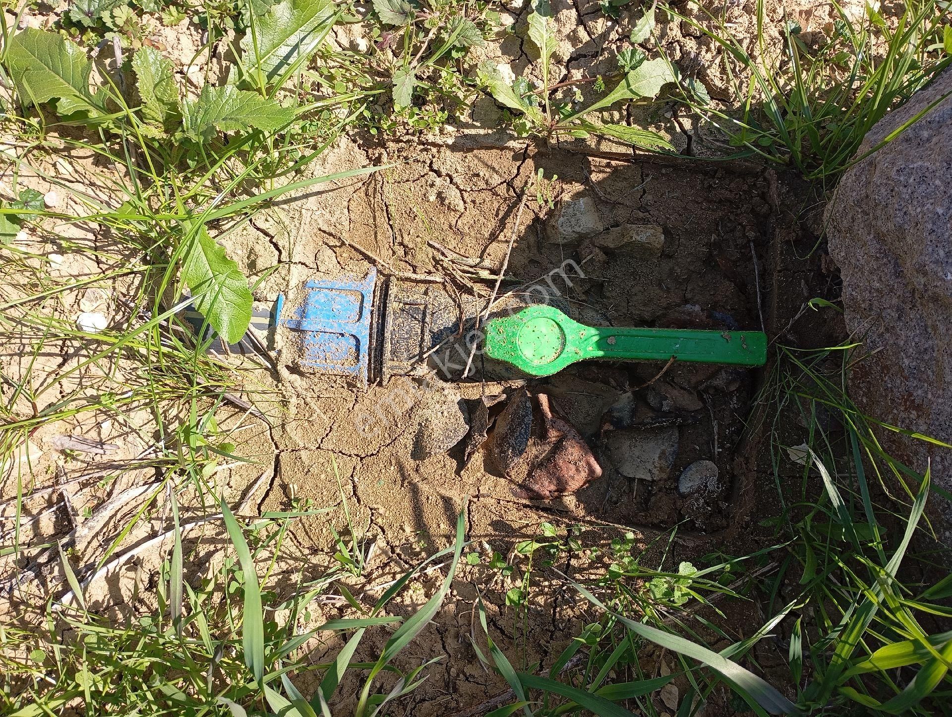 Elit Emlaktan Satılık Bergamaya Yakın İçinde Ev Olan Zeytinlik - Görsel 24