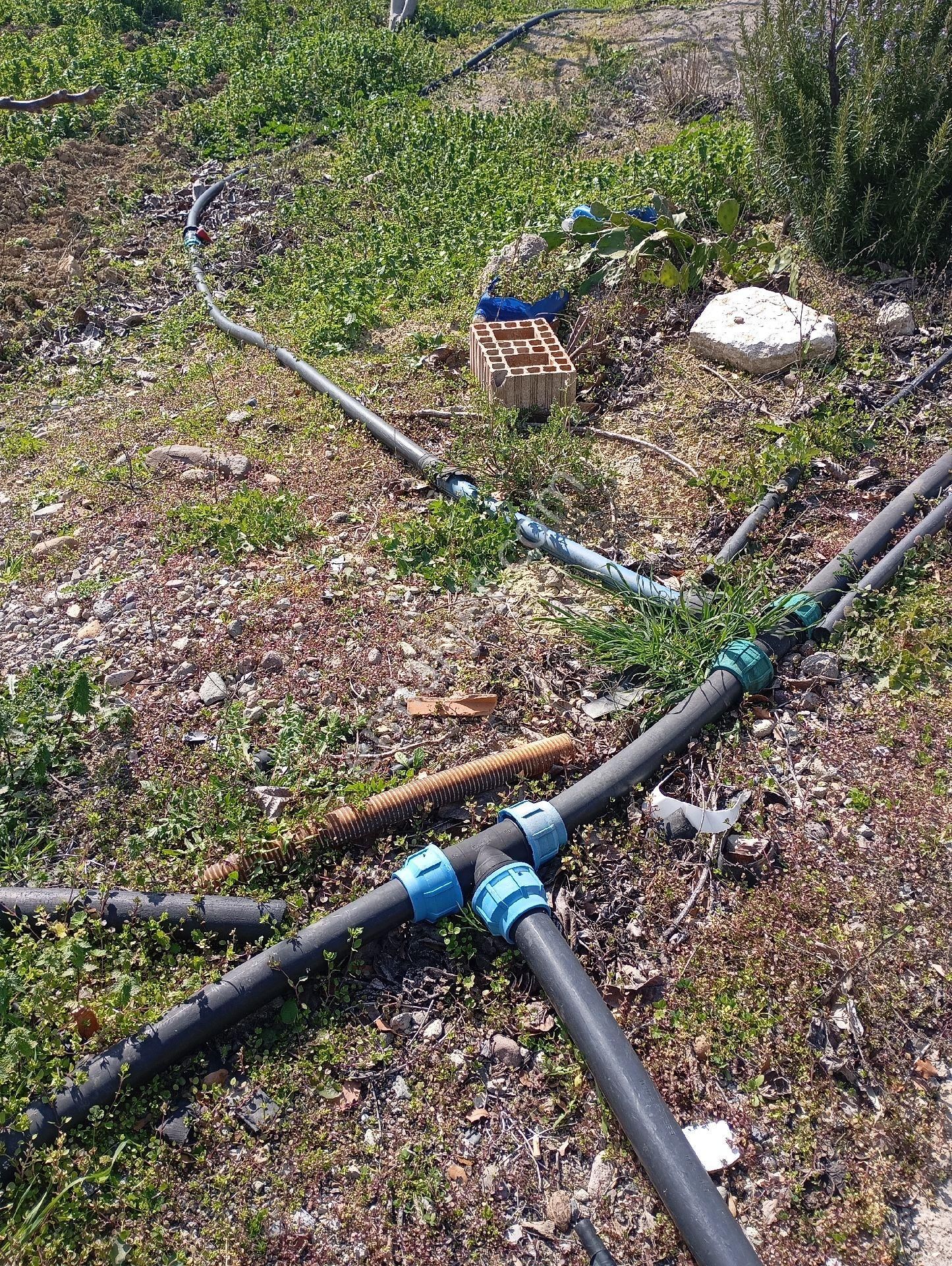 Elit Emlaktan Satılık Bergamaya Yakın İçinde Ev Olan Zeytinlik - Görsel 15