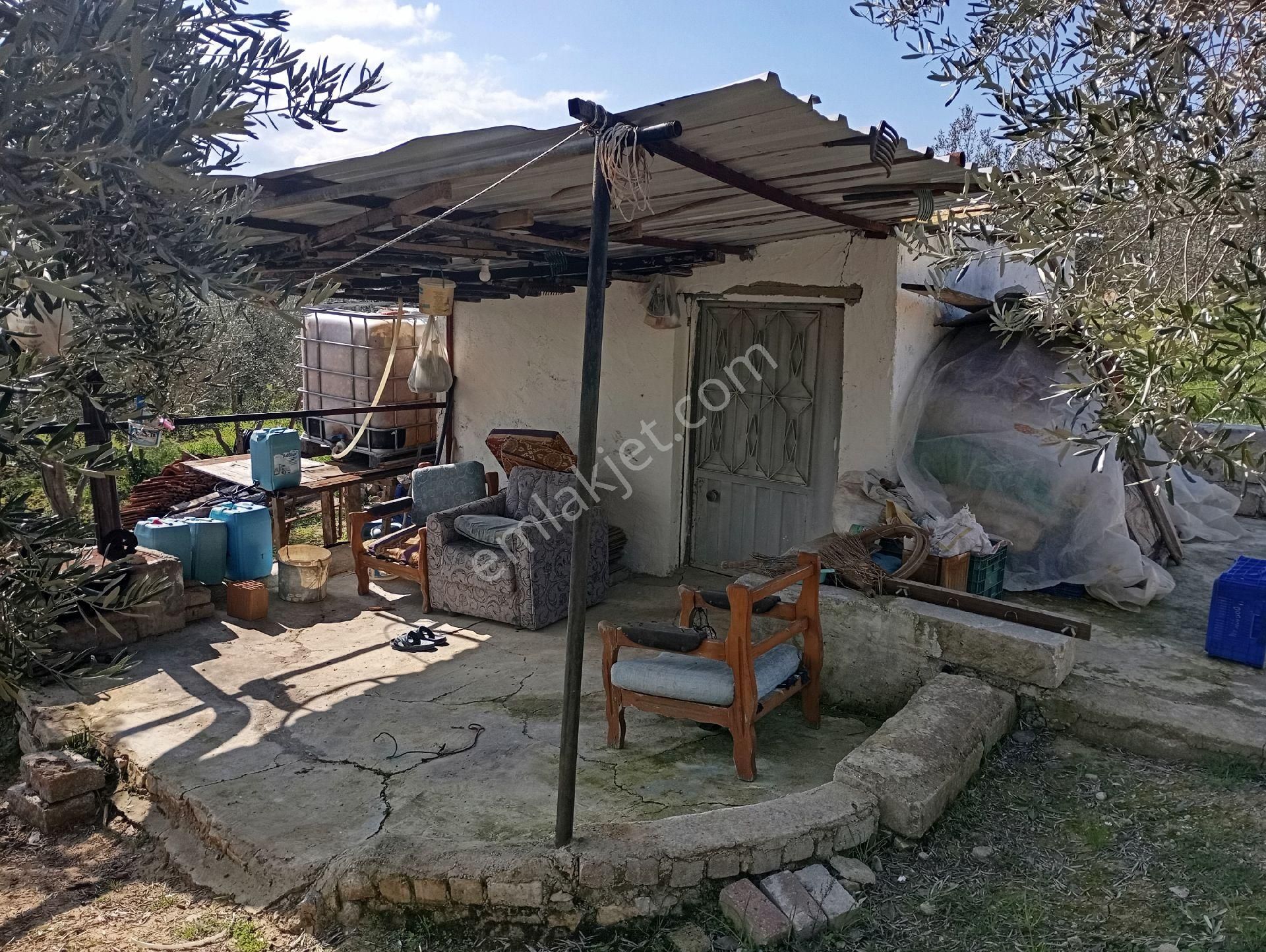 Elit Emlaktan Satılık Bergamaya Yakın İçinde Ev Olan Zeytinlik - Görsel 20
