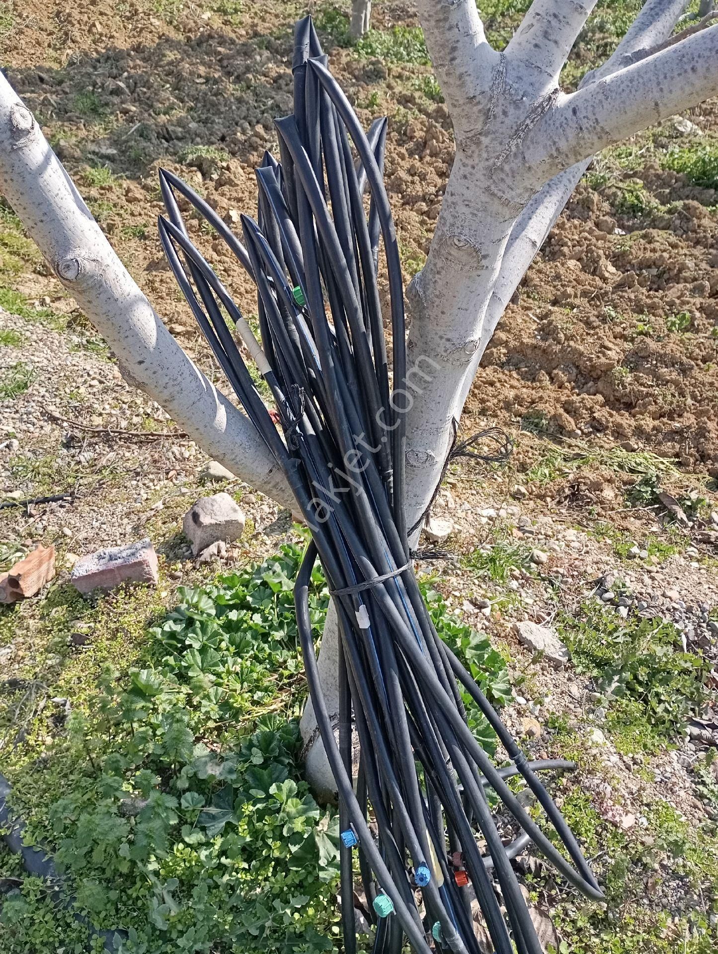 Elit Emlaktan Satılık Bergamaya Yakın İçinde Ev Olan Zeytinlik - Görsel 14