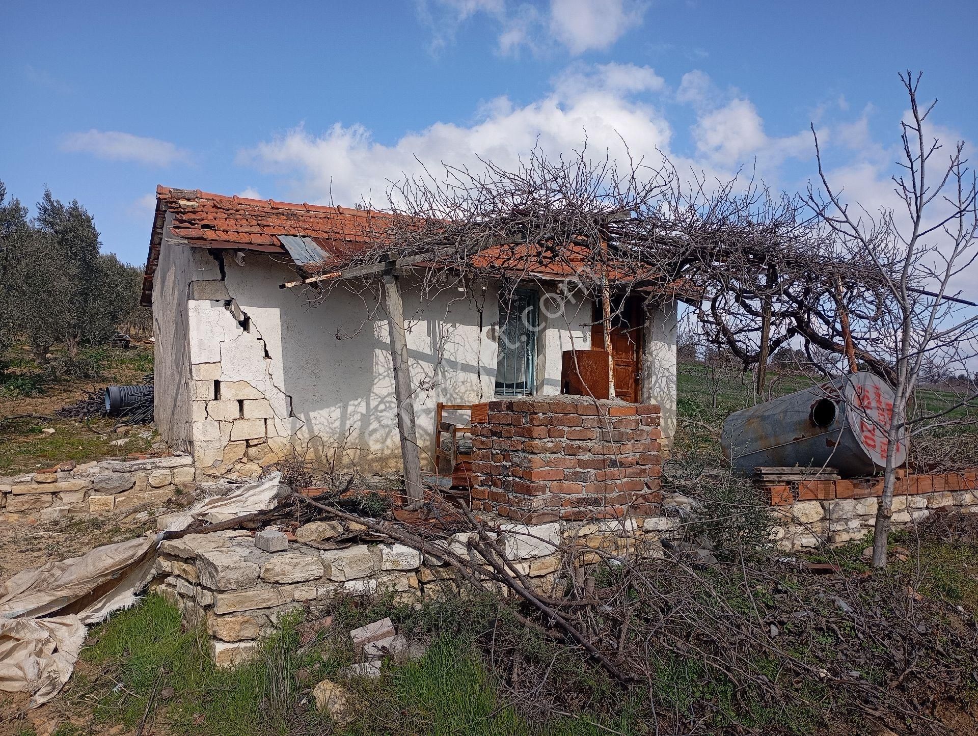 Elit Emlaktan Satılık Bergamaya Yakın İçinde Ev Olan Zeytinlik - Görsel 5