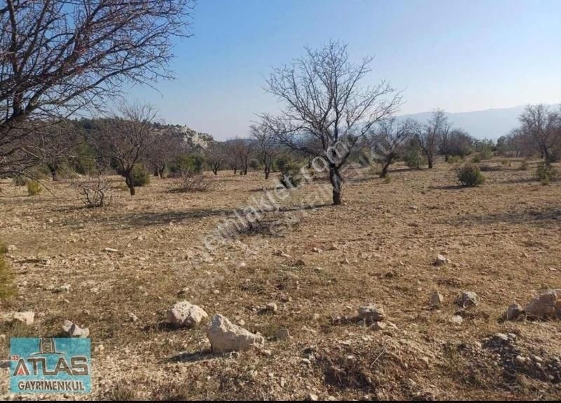 Silifke Yenisu Satılık Tarla 33 Atlastan Yenisu Küme Evlerine Yakın Badem Bahçesi Satılık