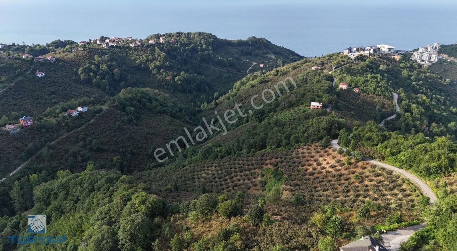 Araklı Karşıyaka Satılık Ticari İmarlı Arsamız Trabzon Araklı Karşıyaka Mahhalesinde Acil Satılık