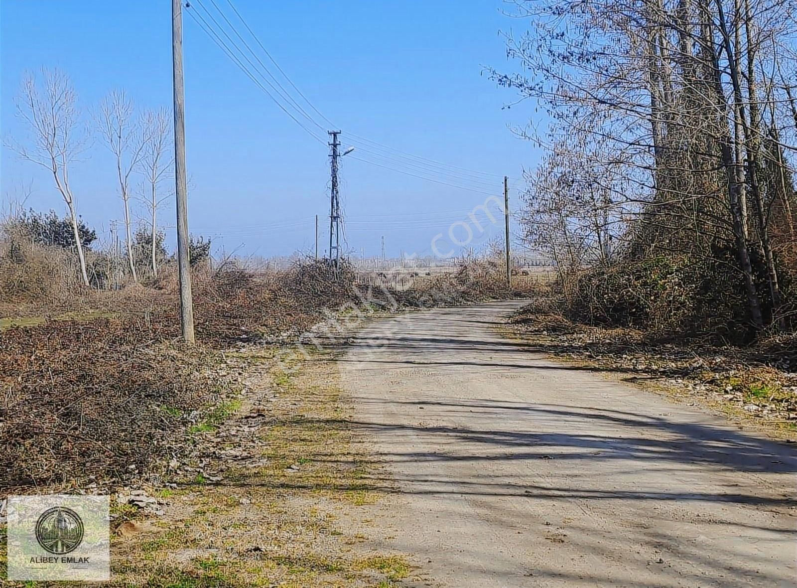 Alibey'den Termede Meraya Cephe 15 Dönüm İçinde Çiftlik Evi - Görsel 11
