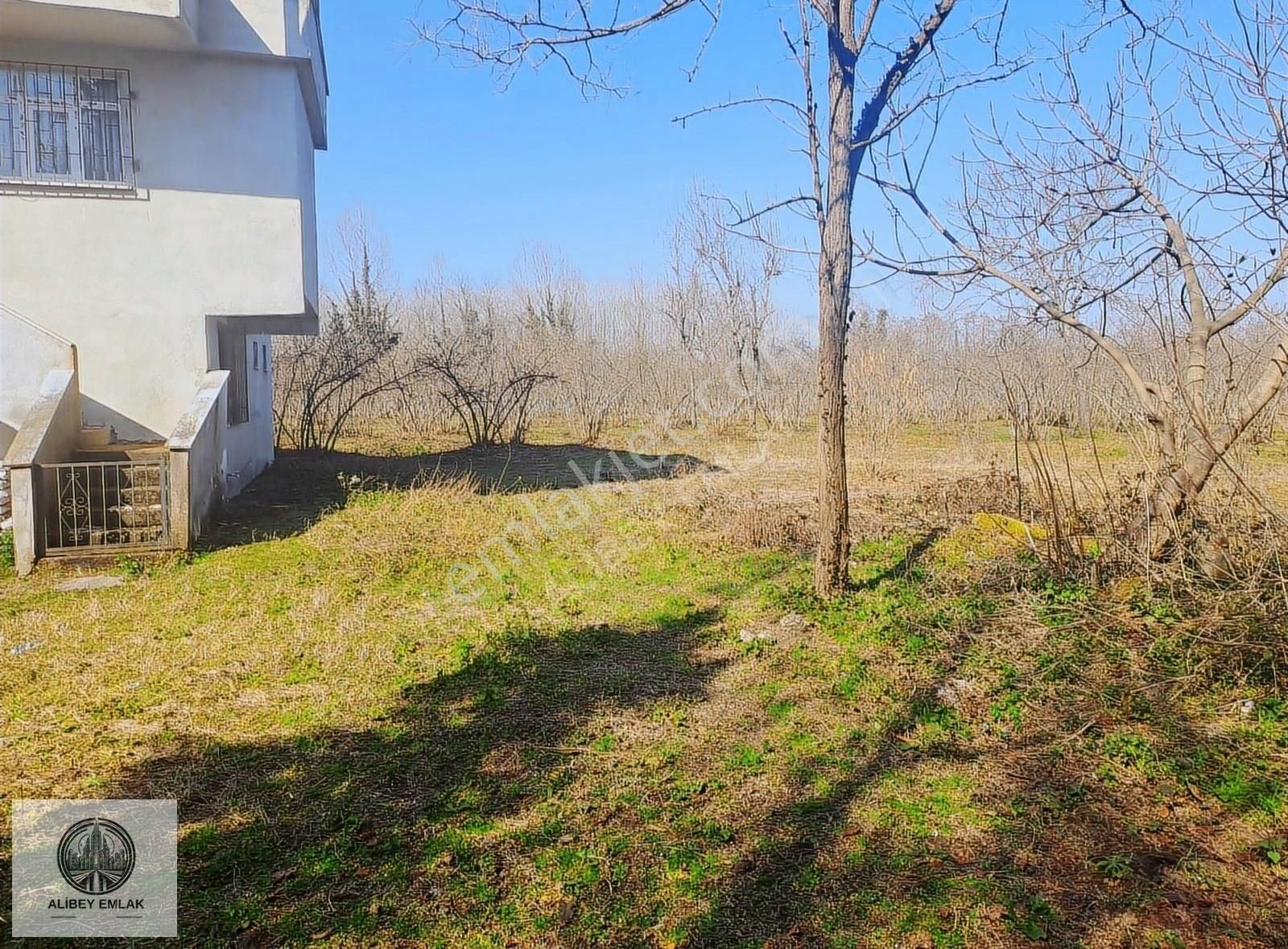 Alibey'den Termede Meraya Cephe 15 Dönüm İçinde Çiftlik Evi - Görsel 20