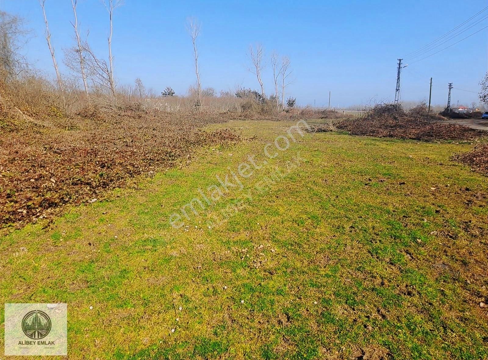 Alibey'den Termede Meraya Cephe 15 Dönüm İçinde Çiftlik Evi - Görsel 16