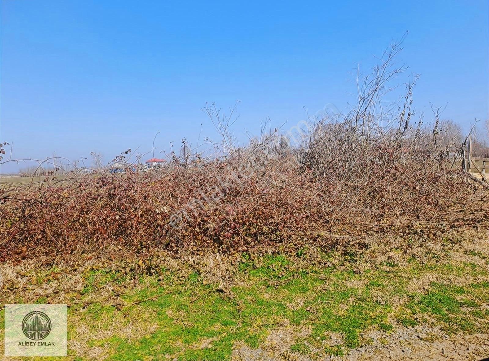 Alibey'den Termede Meraya Cephe 15 Dönüm İçinde Çiftlik Evi - Görsel 28