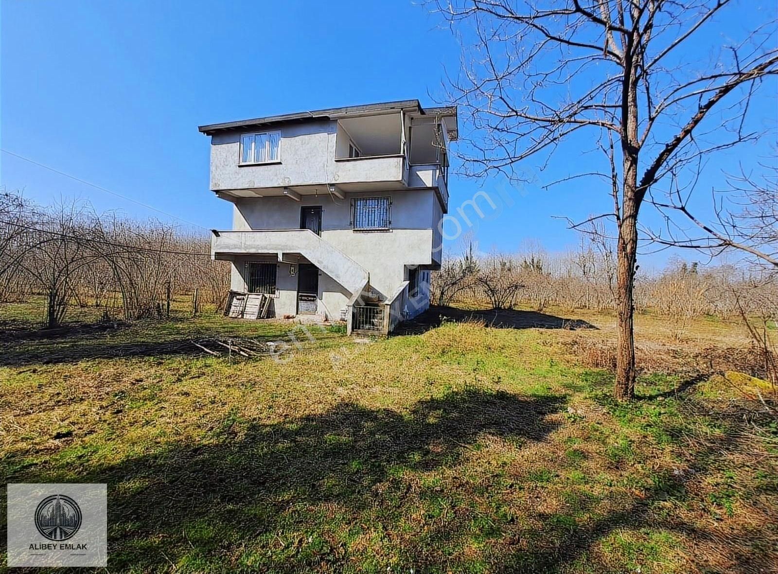 Alibey'den Termede Meraya Cephe 15 Dönüm İçinde Çiftlik Evi - Görsel 12