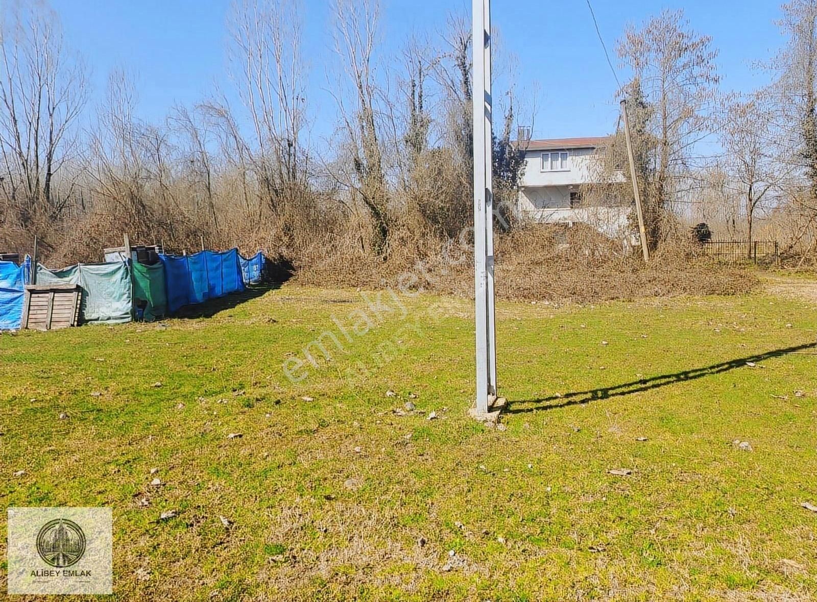 Alibey'den Termede Meraya Cephe 15 Dönüm İçinde Çiftlik Evi - Görsel 5