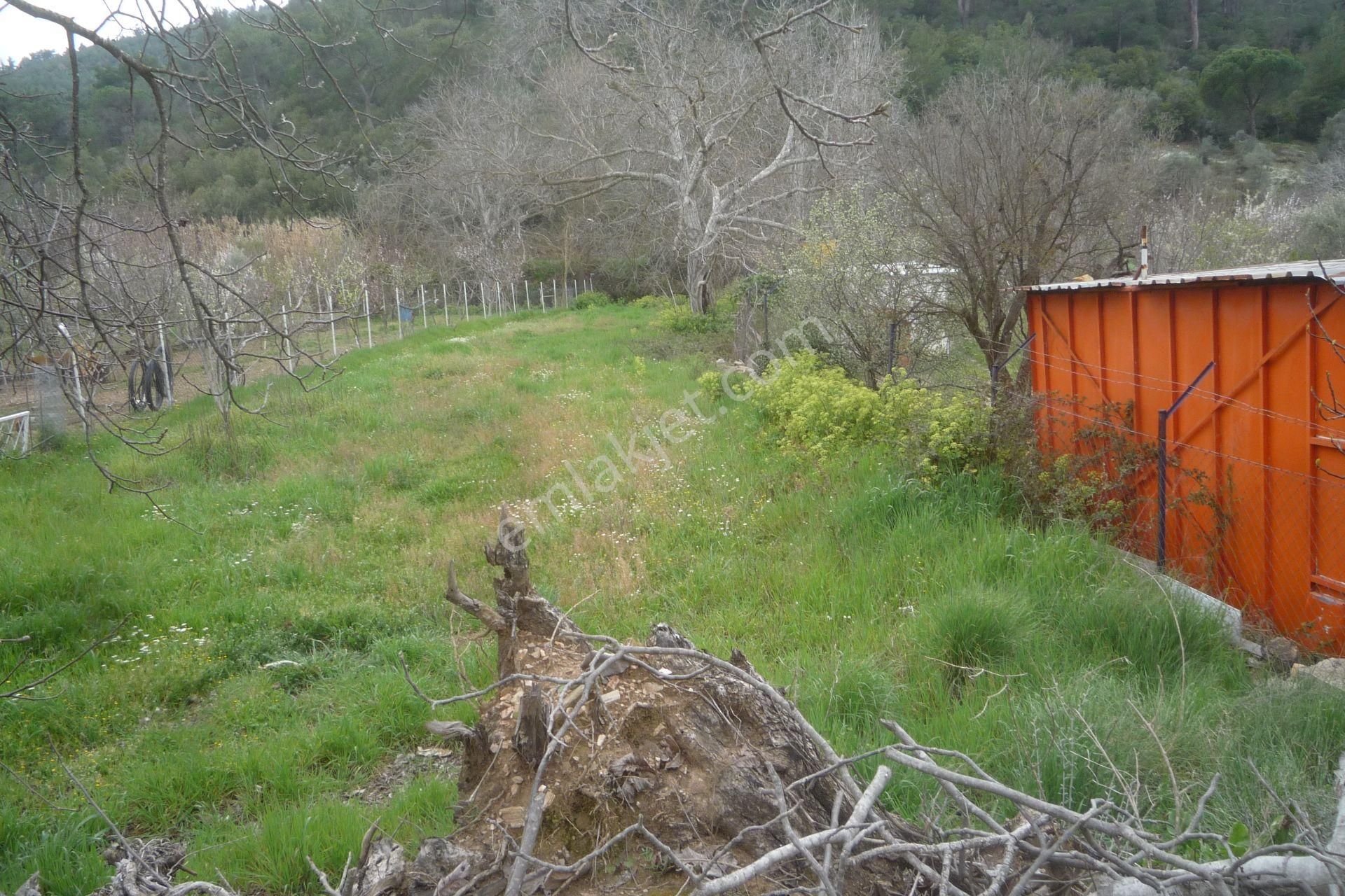 İzmir Torbalı Gold Emlaktan Satılık Bahçe - Görsel 4