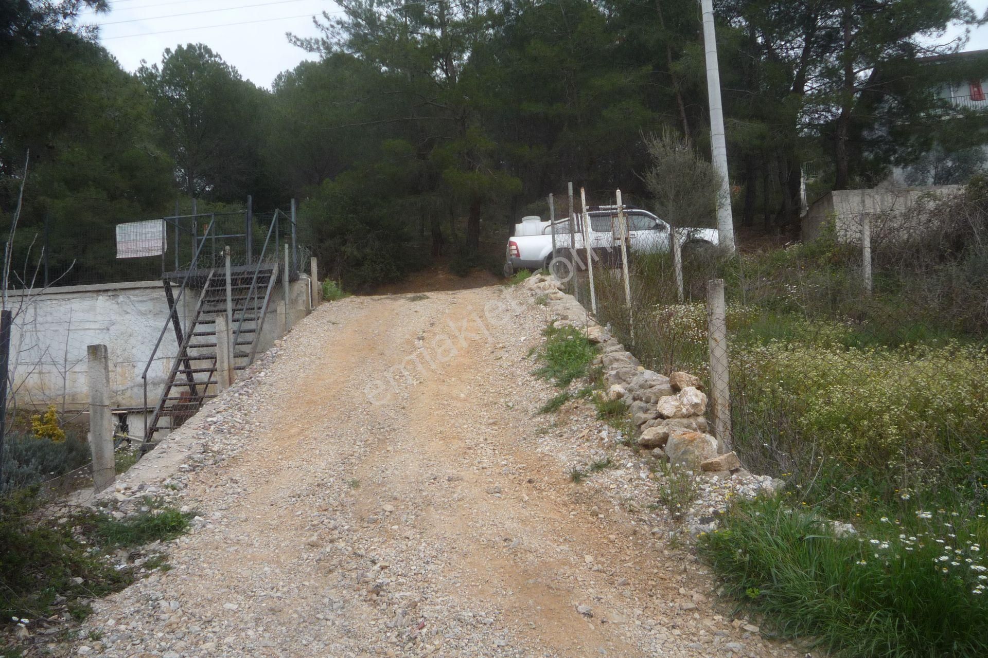 İzmir Torbalı Gold Emlaktan Satılık Bahçe - Görsel 5