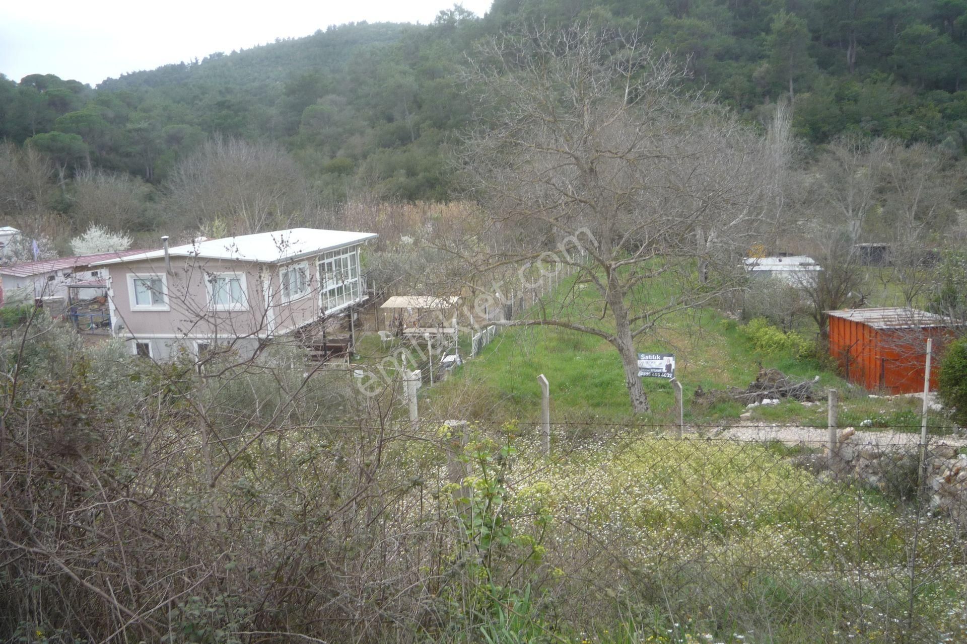 İzmir Torbalı Gold Emlaktan Satılık Bahçe - Görsel 3