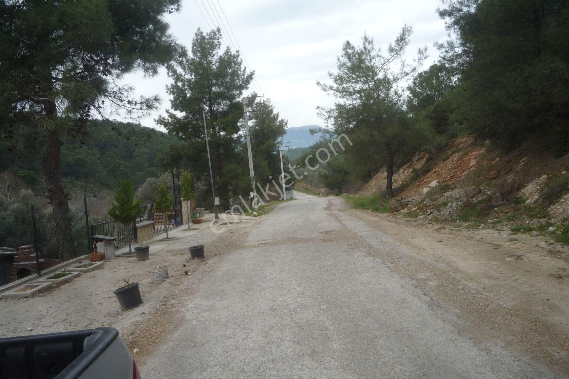 İzmir Torbalı Gold Emlaktan Satılık Bahçe - Görsel 2