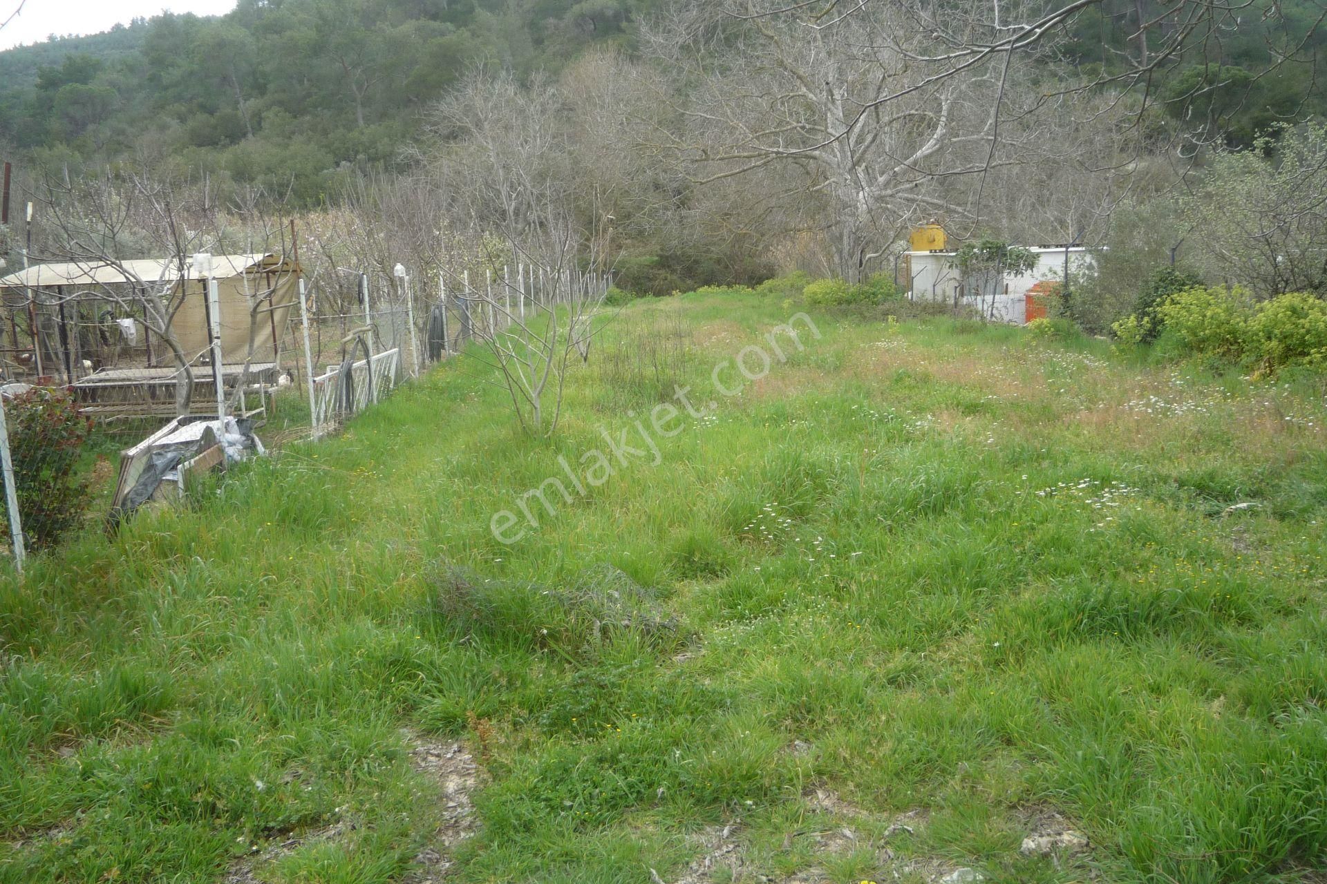 İzmir Torbalı Gold Emlaktan Satılık Bahçe - Görsel 7