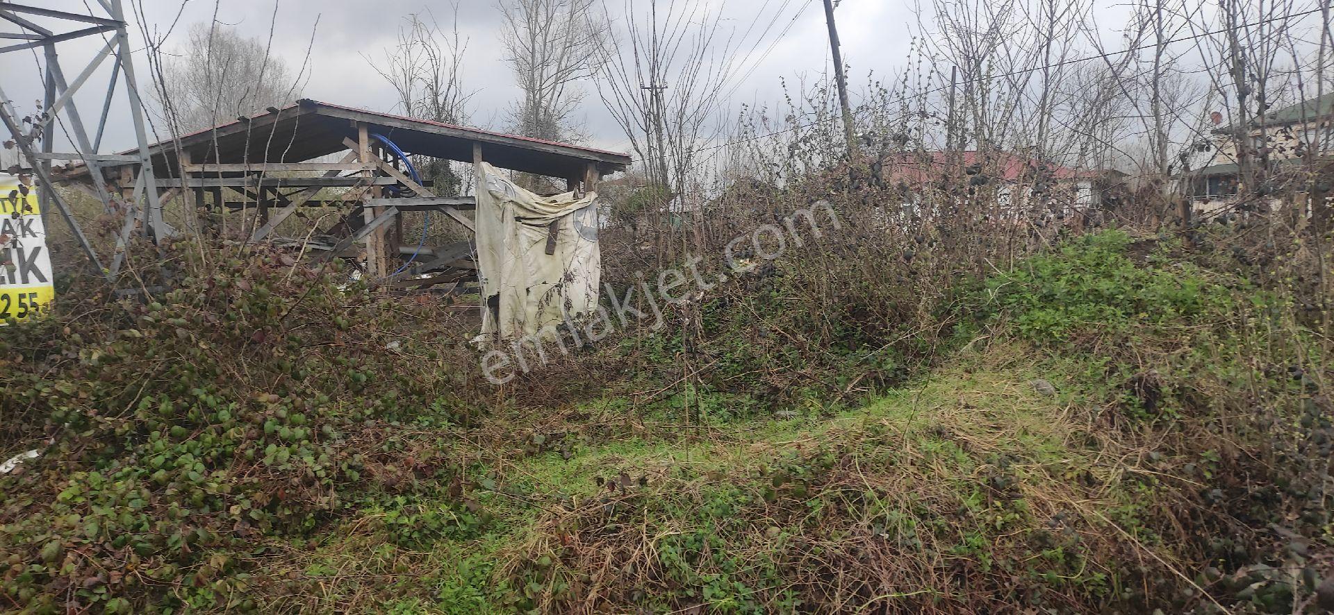 Samsun Terme Ahmetbey Koyunde Satilik Parsel - Görsel 5