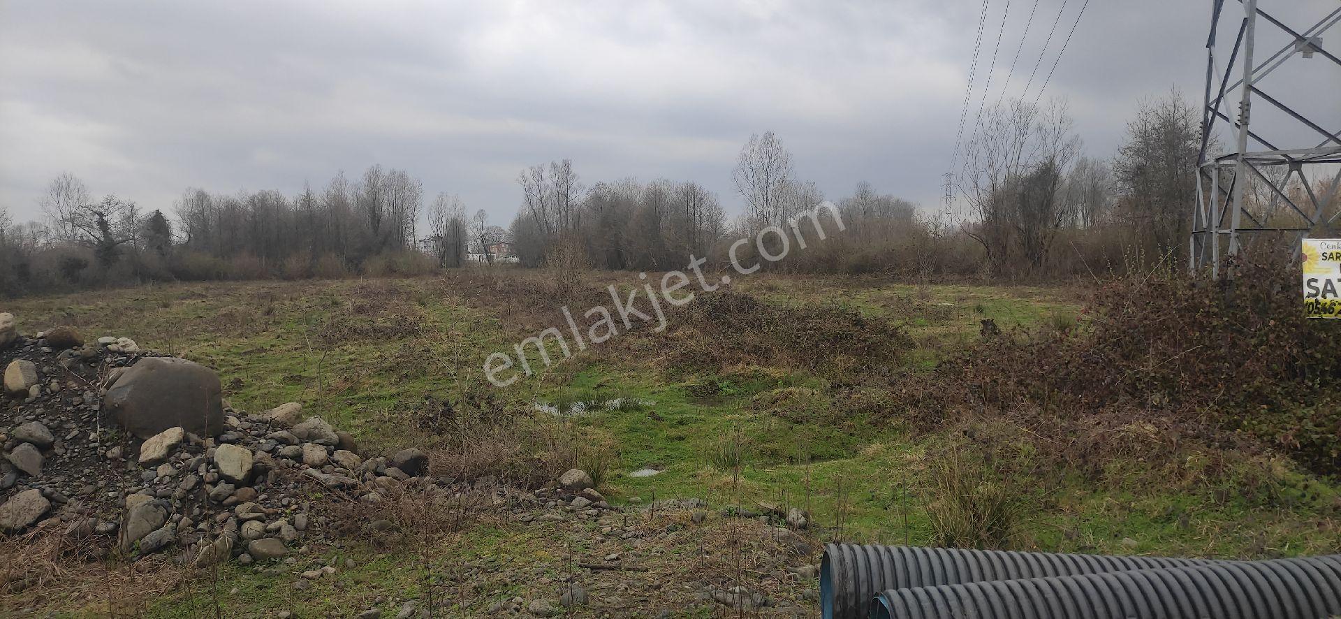 Samsun Terme Ahmetbey Koyunde Satilik Parsel - Görsel 8