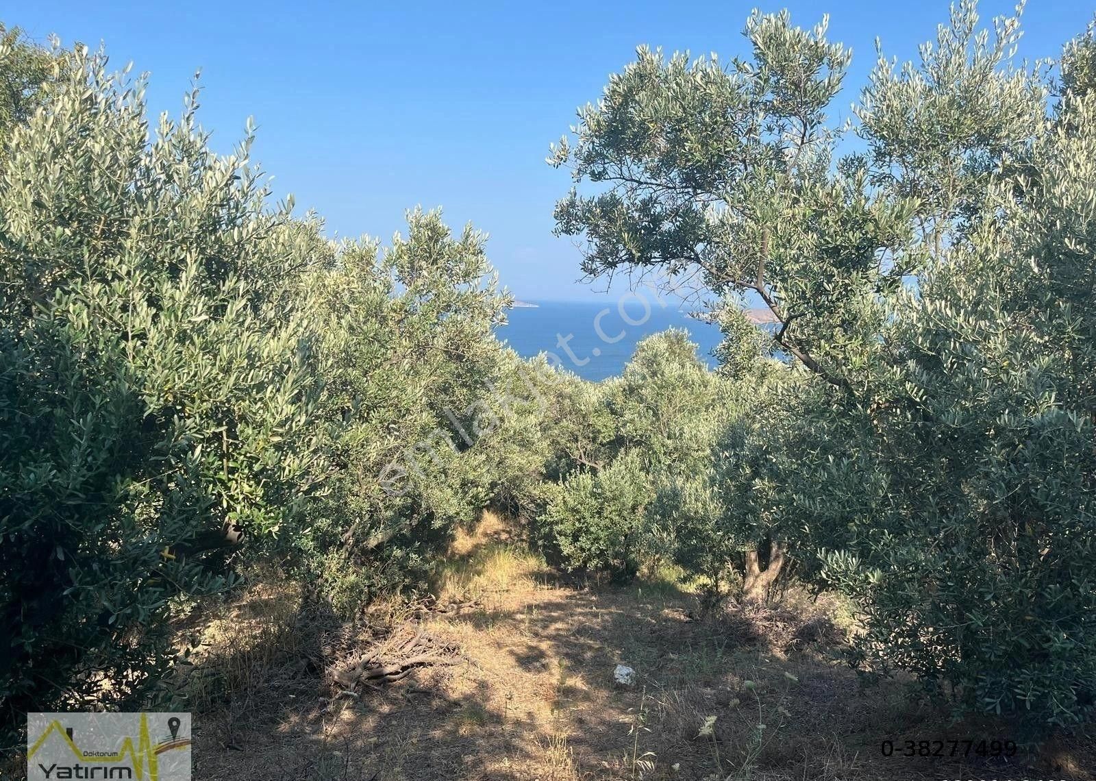 Yatırım Doktorumdan Erdek Çakıl Mah. Full Deniz Manzaralı Satılık Arazi - Görsel 14