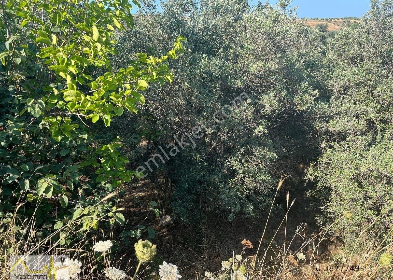 Yatırım Doktorumdan Erdek Çakıl Mah. Full Deniz Manzaralı Satılık Arazi - Görsel 12