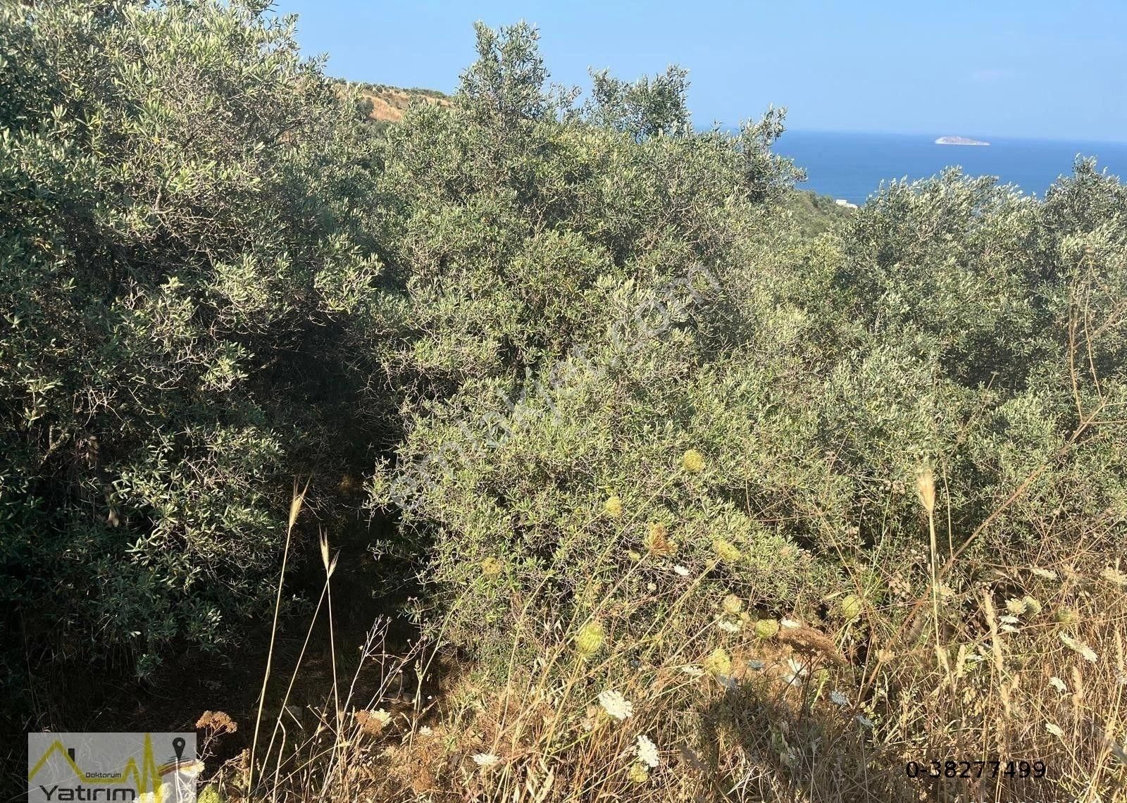 Yatırım Doktorumdan Erdek Çakıl Mah. Full Deniz Manzaralı Satılık Arazi - Görsel 5