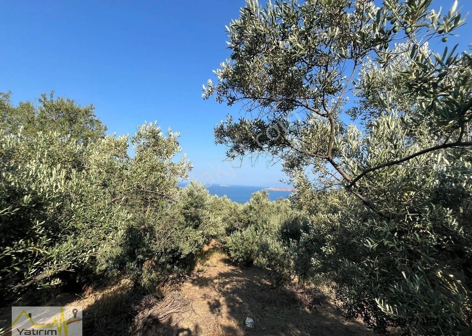 Yatırım Doktorumdan Erdek Çakıl Mah. Full Deniz Manzaralı Satılık Arazi - Görsel 6