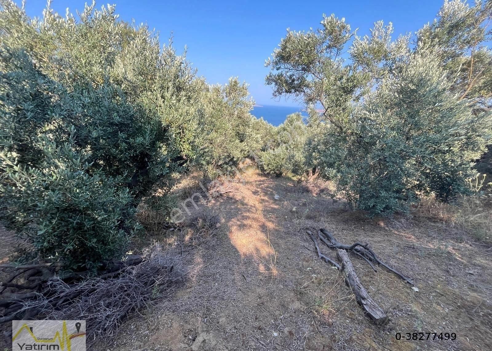 Yatırım Doktorumdan Erdek Çakıl Mah. Full Deniz Manzaralı Satılık Arazi - Görsel 10