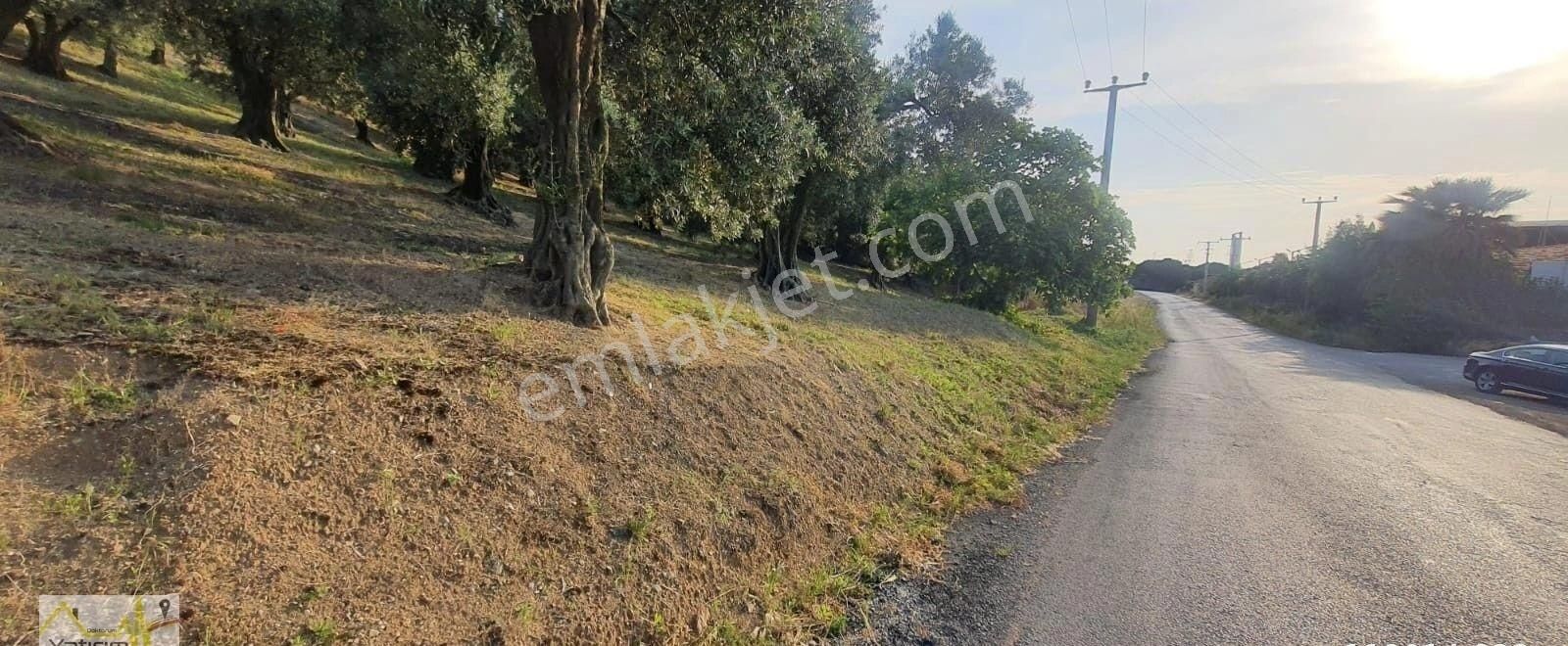 Bandırma Edincik Mahallesinde Denize Sıfır Tiny House Bungolov İçin Uygun Satılık Zeytinlik - Görsel 7