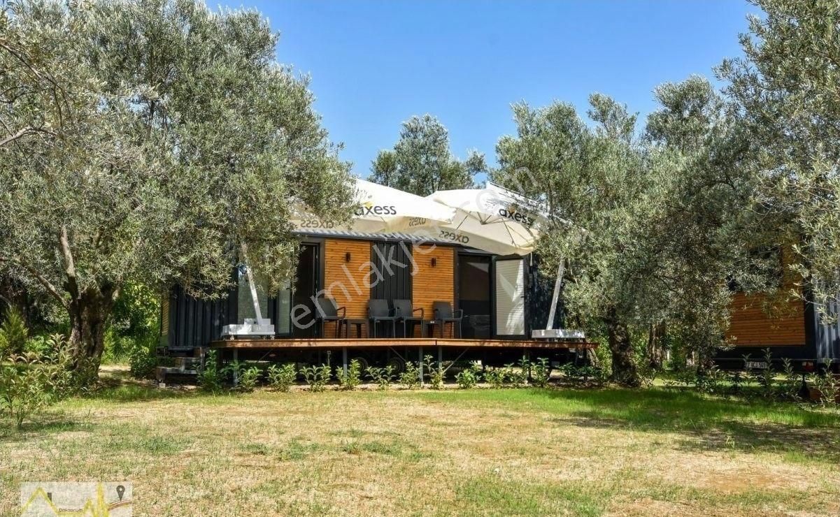 Bandırma Edincik Mahallesinde Denize Sıfır Tiny House Bungolov İçin Uygun Satılık Zeytinlik - Görsel 13