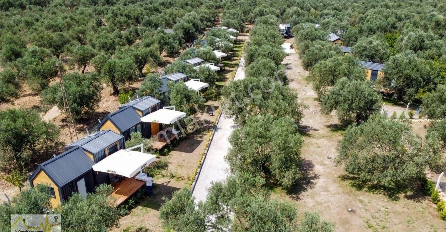 Bandırma Edincik Mahallesinde Denize Sıfır Tiny House Bungolov İçin Uygun Satılık Zeytinlik - Görsel 3