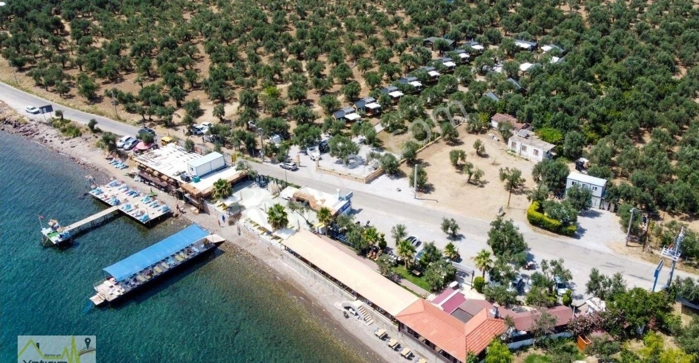 Bandırma Edincik Mahallesinde Denize Sıfır Tiny House Bungolov İçin Uygun Satılık Zeytinlik - Görsel 9