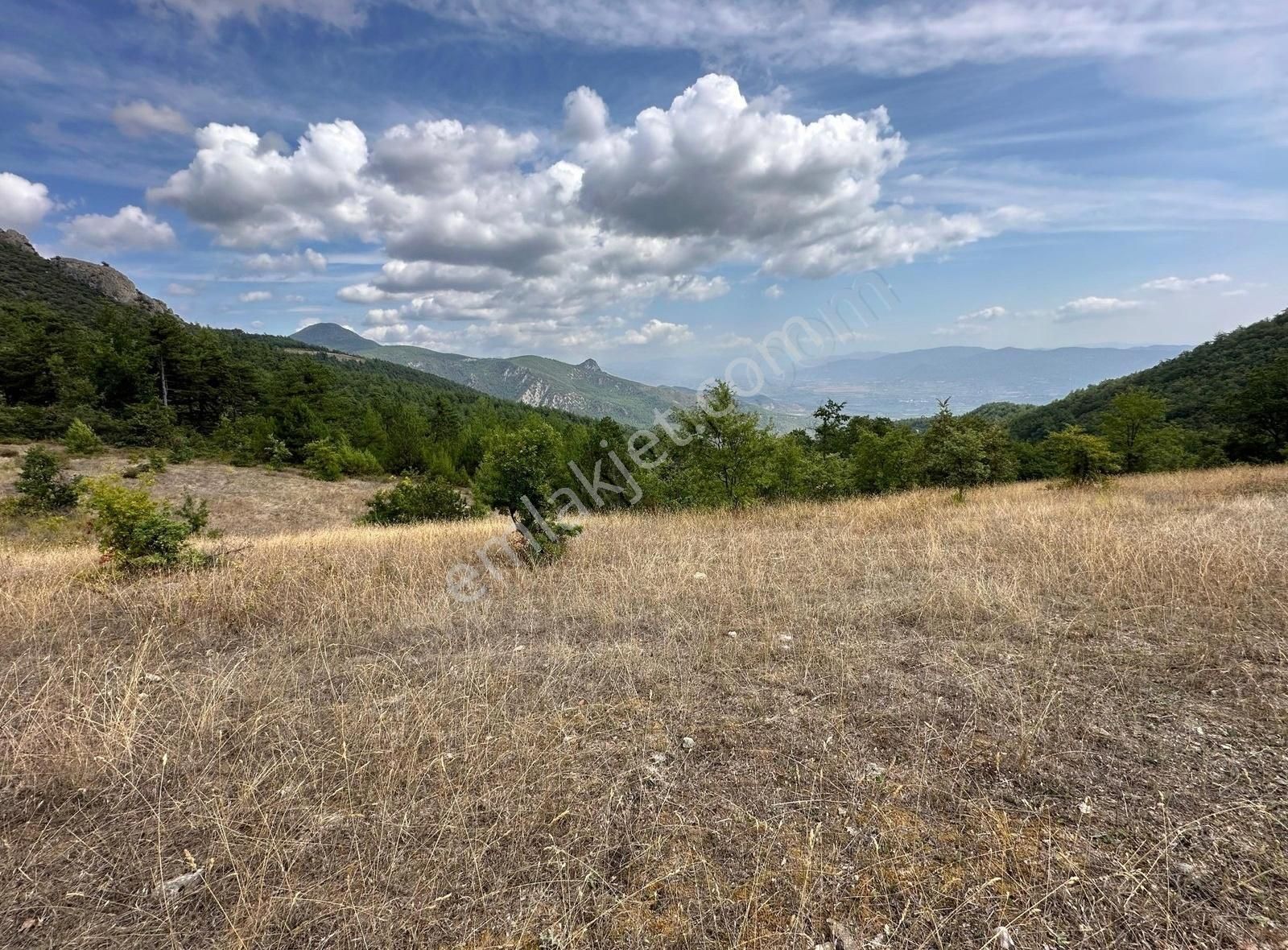 Osmaneli Sarıyazı Köyü (Benli) Satılık Tarla Yavuz Emlak'tan Yatırıma Uygun 3828 M2 Tek Tapu Tarla