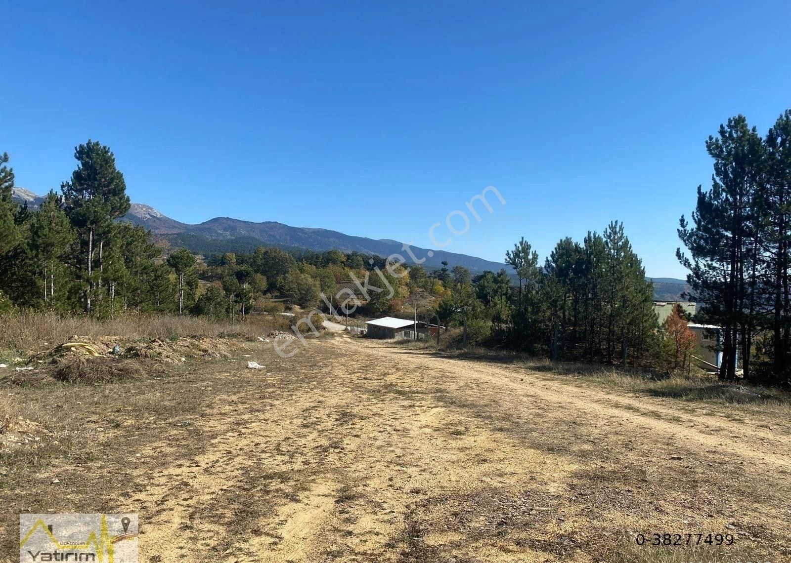 Bursa Osmangazi Büyükdeliller Köyü 2165 M2 Satılık Arazi - Görsel 2