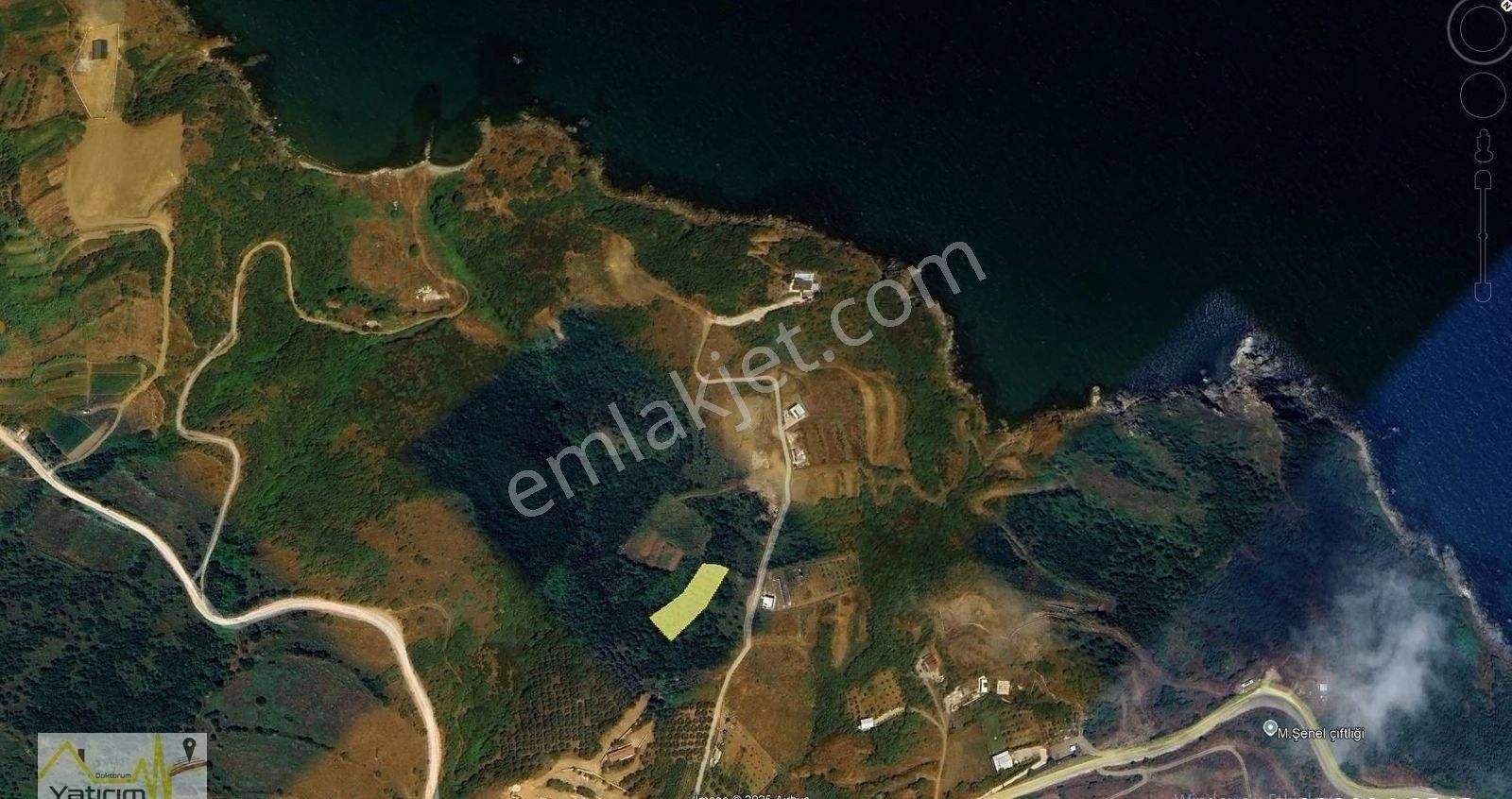 Bandırma Sahilyenice Mahallesinde Deniz Manzaralı Satılık Arazi - Görsel 5