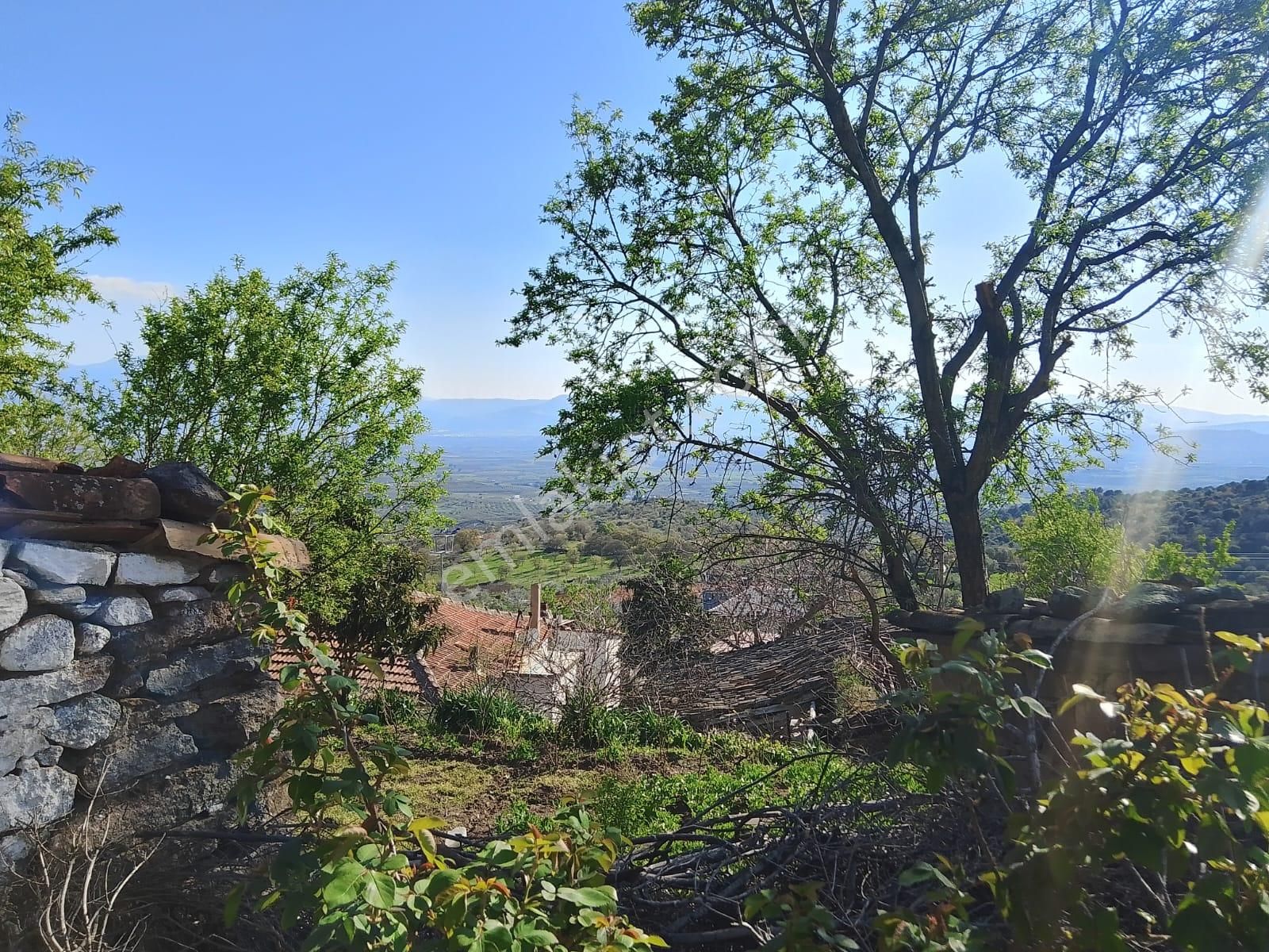 Manisa Koca Koruda 128 M2 Arsa Üzerinde Sıfıt Yapımış Müstakil 3+1 Köy Evi - Görsel 4