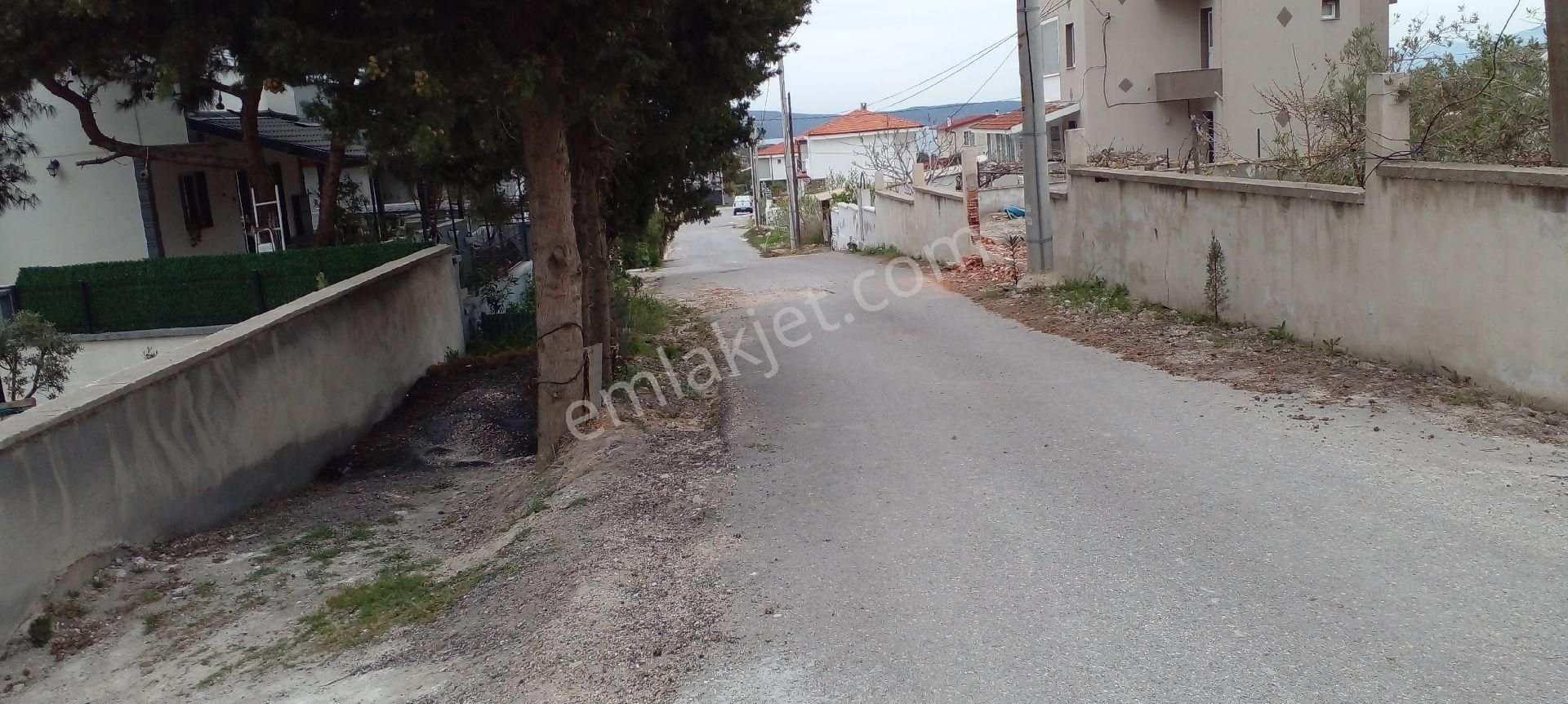 Mor Çiçek Emlak Karaburun Mordoğanda Deniz Manzaralı Arsa - Görsel 6