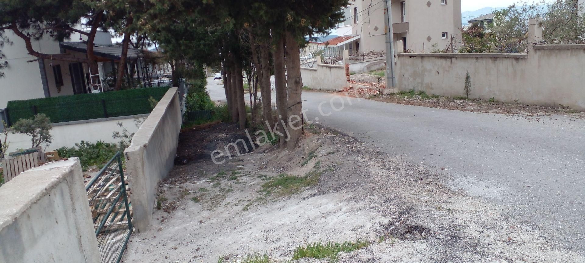 Mor Çiçek Emlak Karaburun Mordoğanda Deniz Manzaralı Arsa - Görsel 3