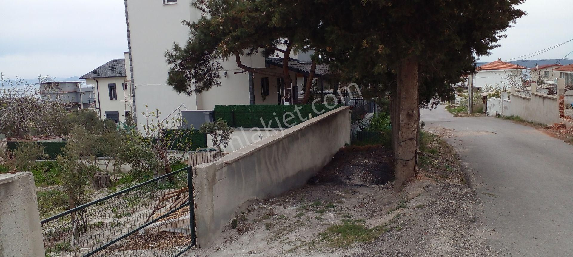Mor Çiçek Emlak Karaburun Mordoğanda Deniz Manzaralı Arsa - Görsel 5
