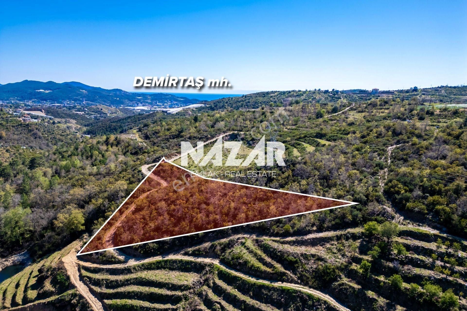 Alanya Aliefendi Mahallesi'nde 6.032 M² Satılık Tarla - Görsel 3