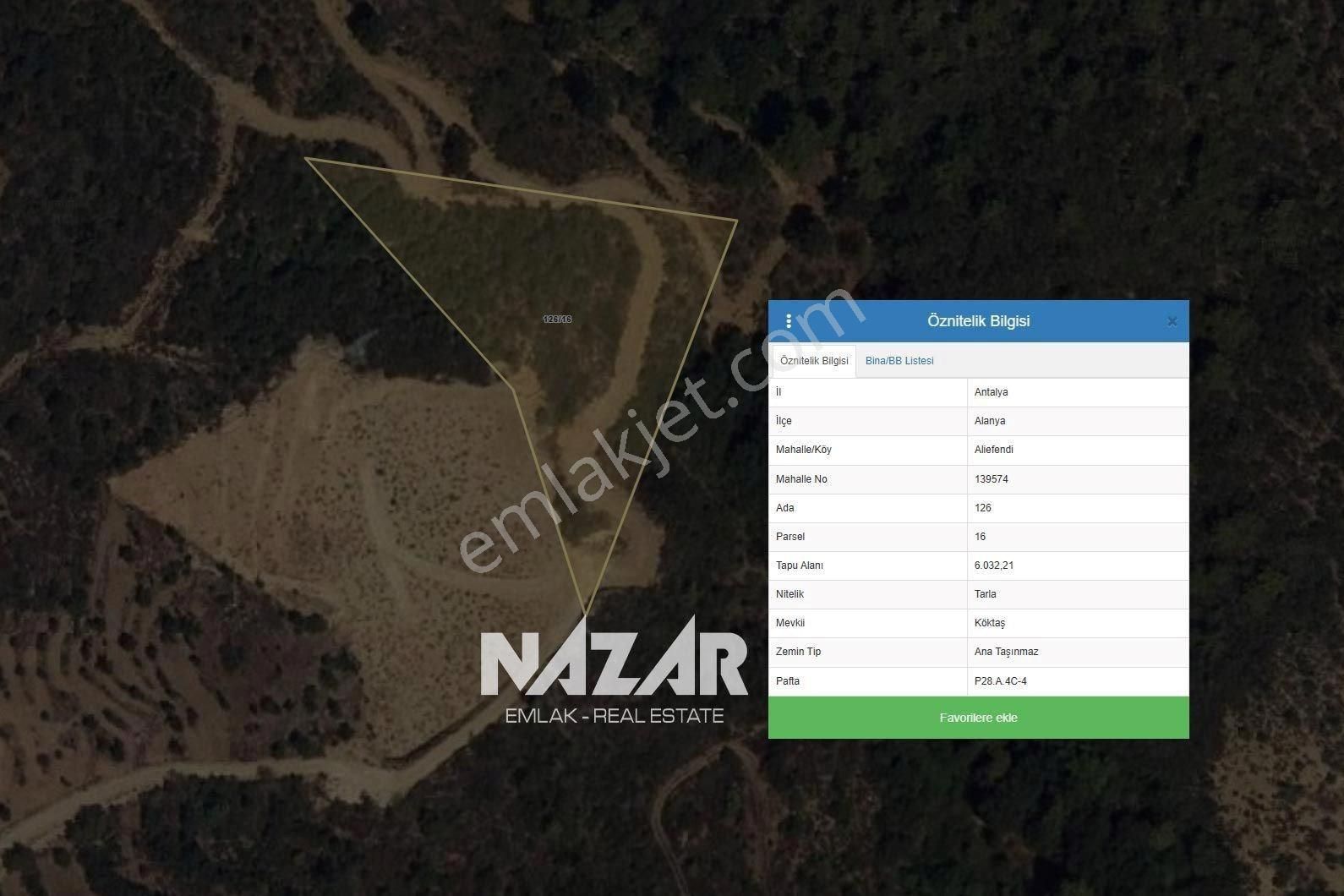 Alanya Aliefendi Mahallesi'nde 6.032 M² Satılık Tarla - Görsel 7