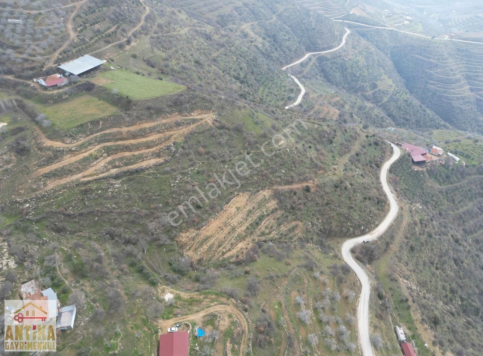Antika Gayrimenkulden Cevizalan Mah. 2058 M² Satılık Zeytinlik - Görsel 2