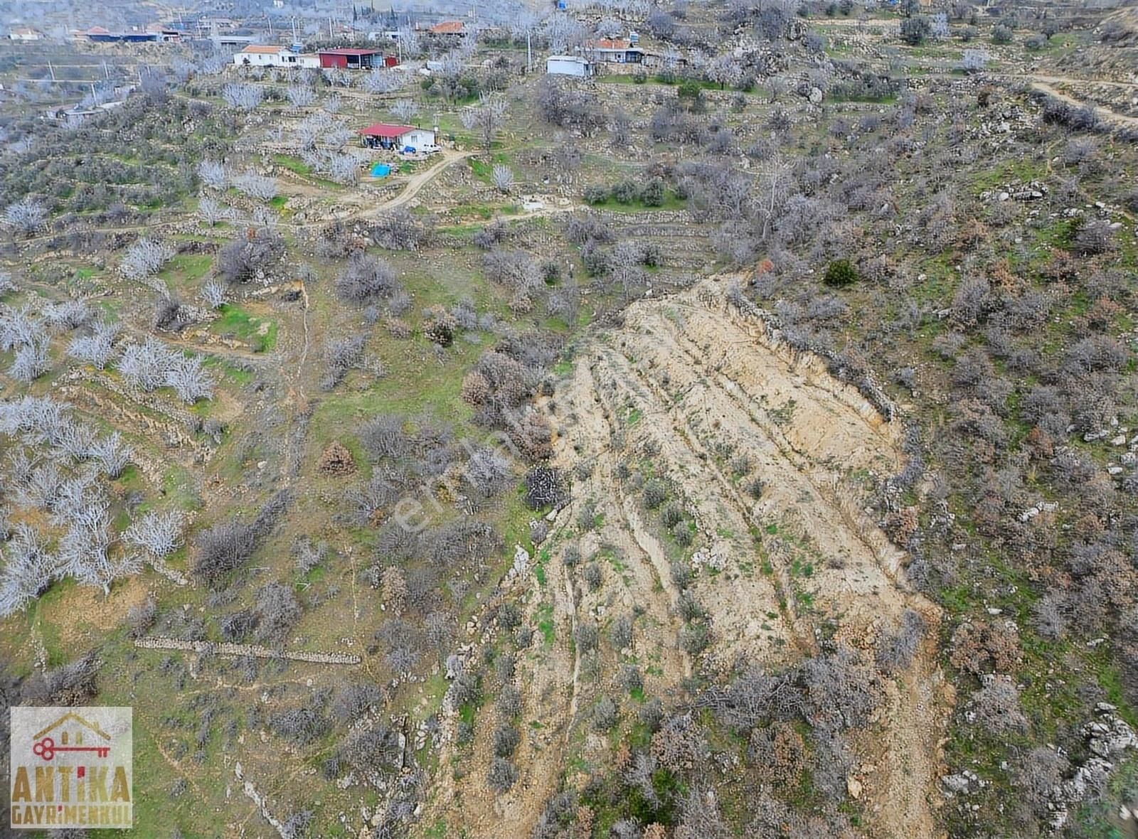 Antika Gayrimenkulden Cevizalan Mah. 2058 M² Satılık Zeytinlik - Görsel 19
