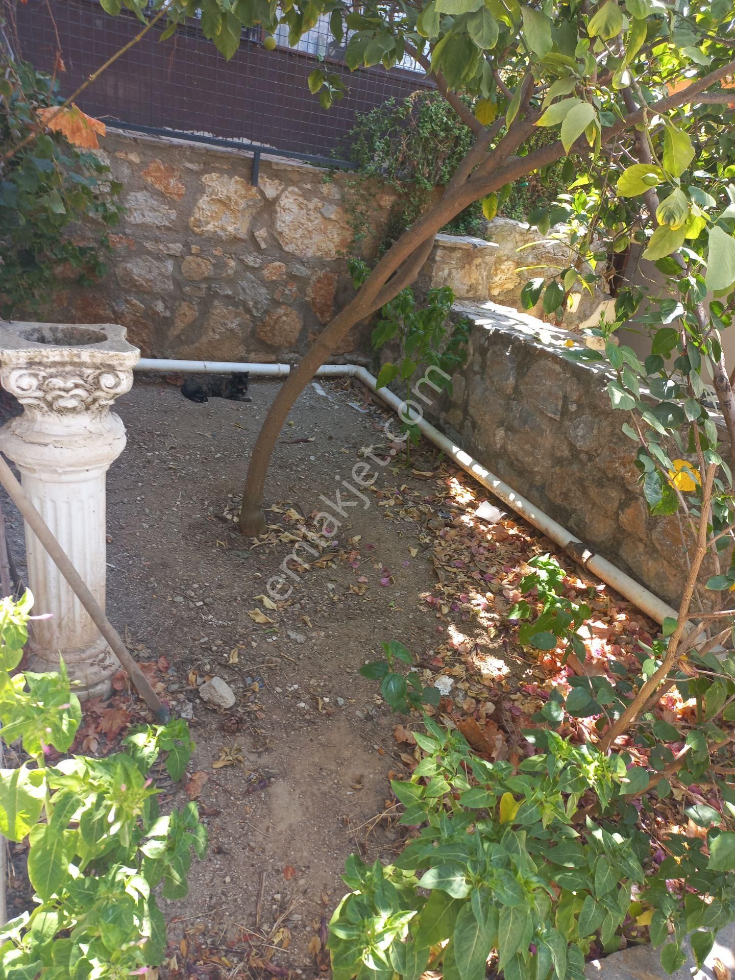 Kumbahçe'de Müstakil Bahçeli 4+1 - Görsel 6