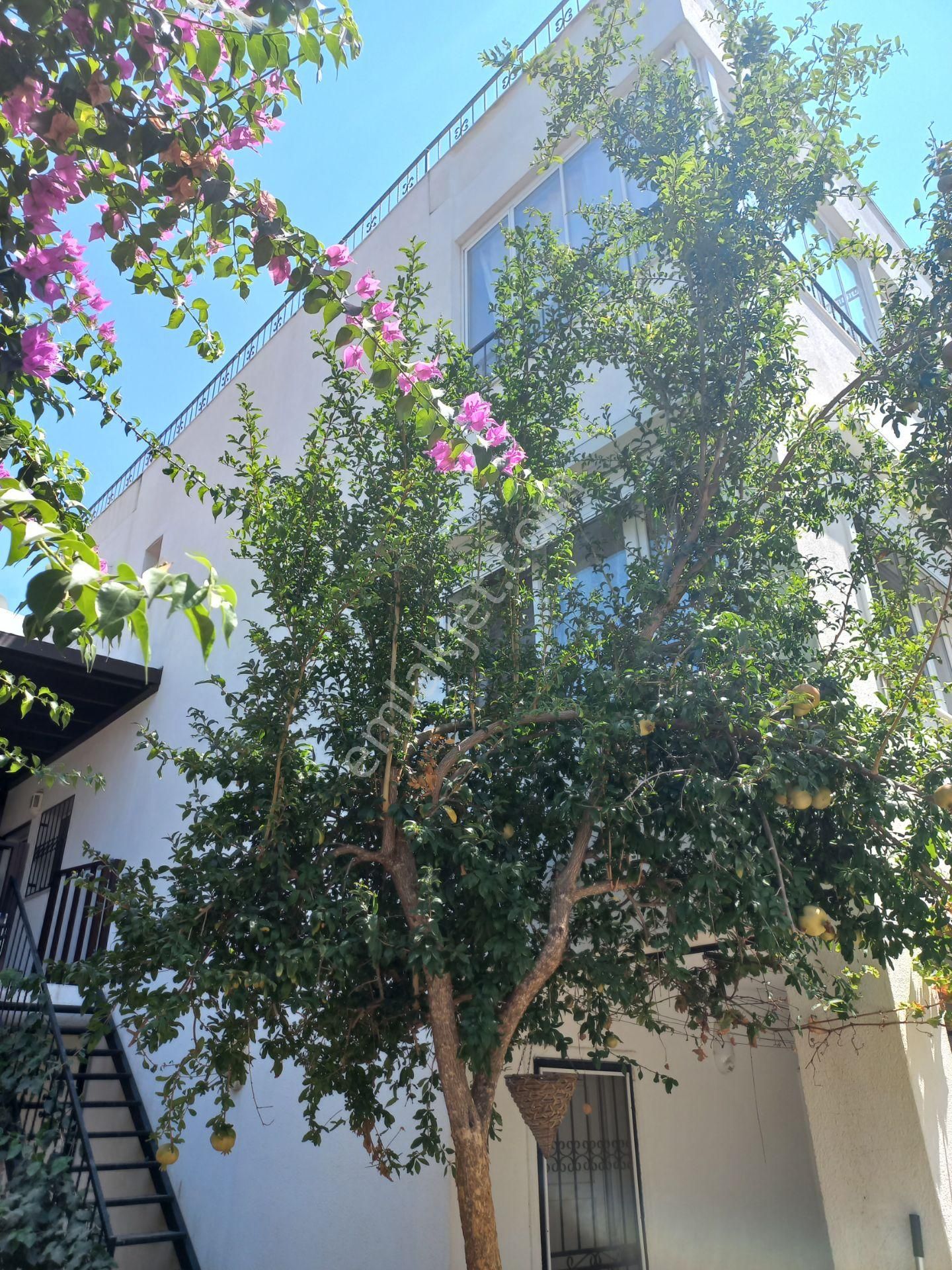 Kumbahçe'de Müstakil Bahçeli 4+1 - Görsel 2