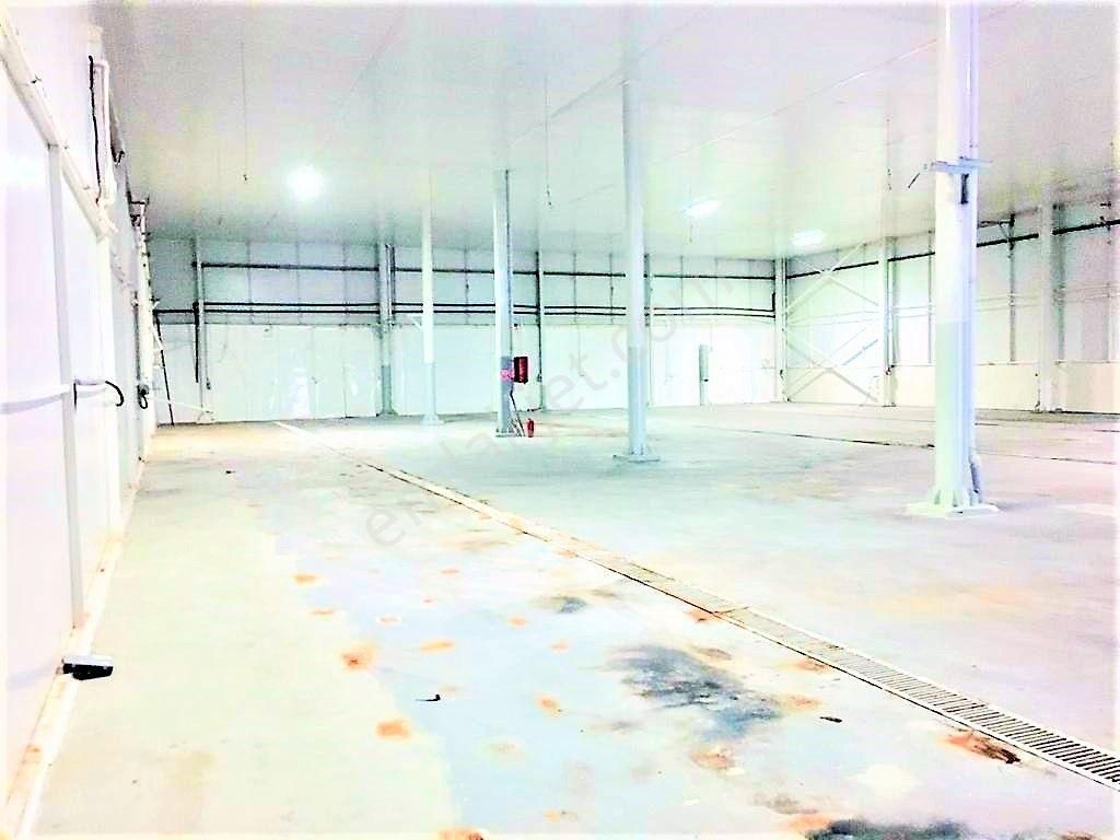 Zorlu Gayrimenkul'den Organize Sanayi Bölgesinde 11.735m2 Satılık Fabrika - Görsel 29