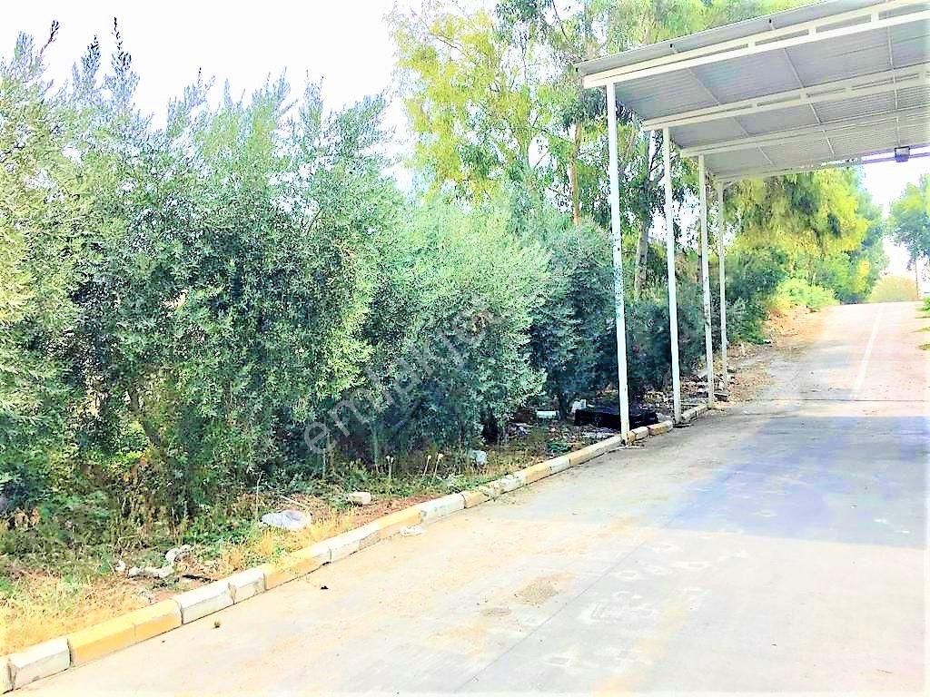 Zorlu Gayrimenkul'den Organize Sanayi Bölgesinde 11.735m2 Satılık Fabrika - Görsel 21