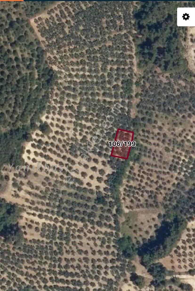 Mudanya Dereköy Sahibinden - Görsel 2