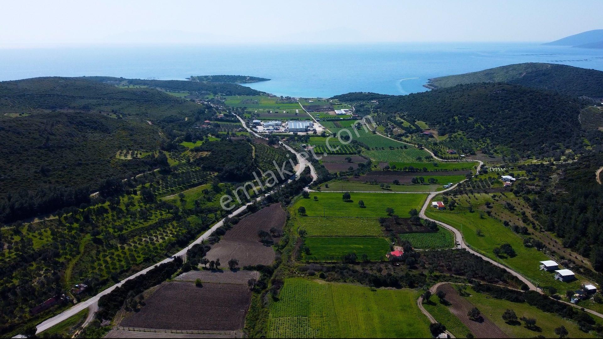 Demircilide Köye Çok Yakın Konumda Satılık Tarla - Görsel 9